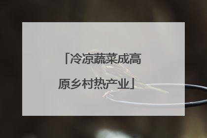 冷凉蔬菜成高原乡村热产业