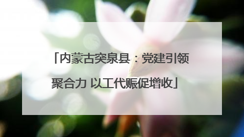 内蒙古突泉县：党建引领聚合力 以工代赈促增收