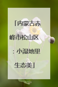 内蒙古赤峰市松山区：小湿地里生态美