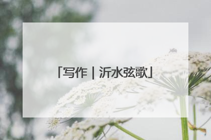 写作｜沂水弦歌
