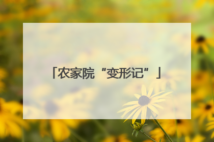 农家院“变形记”