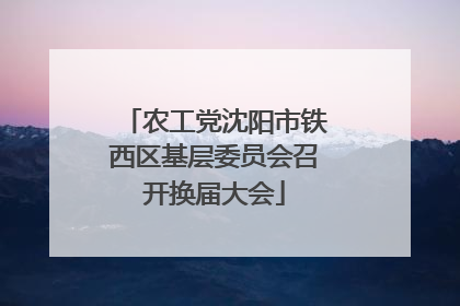 农工党沈阳市铁西区基层委员会召开换届大会