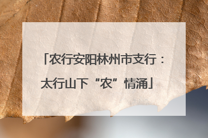 农行安阳林州市支行：太行山下“农”情涌