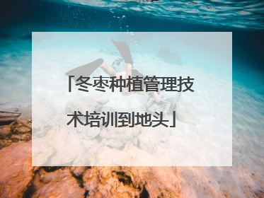冬枣种植管理技术培训到地头