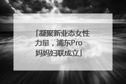 凝聚新业态女性力量，浦东Pro妈妈妇联成立