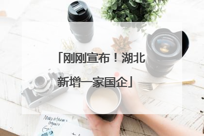 刚刚宣布！湖北新增一家国企