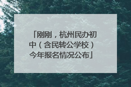 刚刚，杭州民办初中（含民转公学校）今年报名情况公布