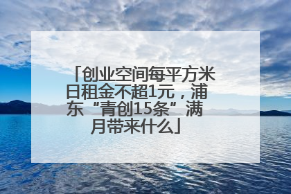 创业空间每平方米日租金不超1元，浦东“青创15条”满月带来什么