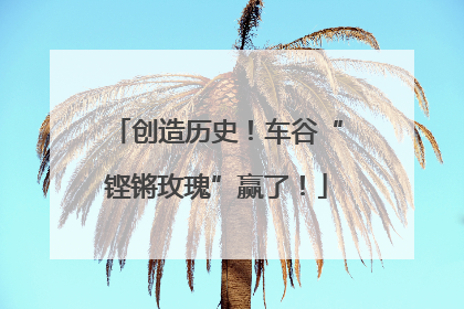 创造历史！车谷“铿锵玫瑰”赢了！