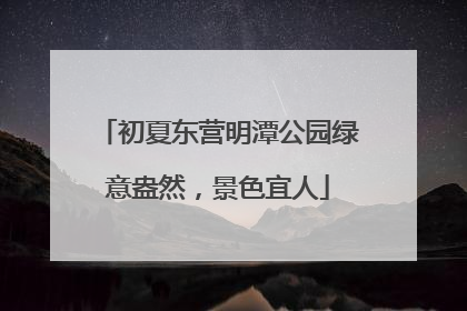 初夏东营明潭公园绿意盎然，景色宜人