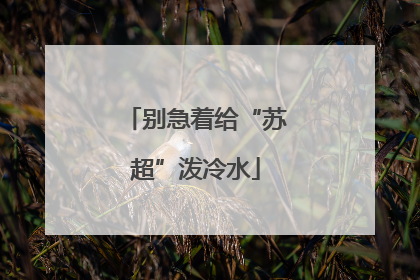 别急着给“苏超”泼冷水