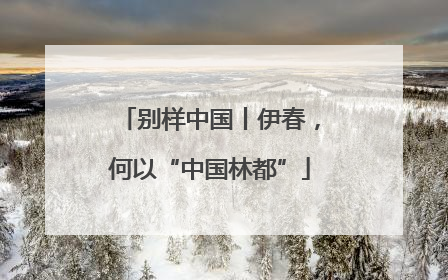 别样中国丨伊春，何以“中国林都”
