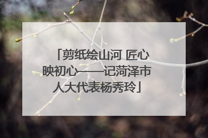剪纸绘山河 匠心映初心——记菏泽市人大代表杨秀玲