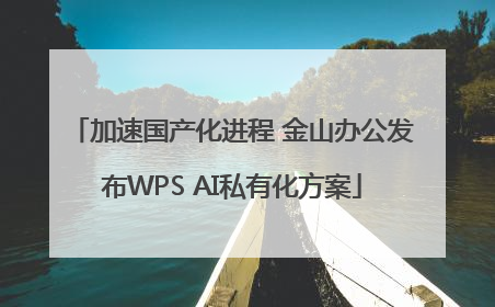 加速国产化进程 金山办公发布WPS AI私有化方案
