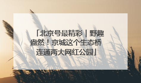 北京号最精彩｜野趣盎然！京城这个生态桥连通两大网红公园