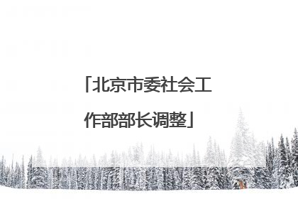 北京市委社会工作部部长调整