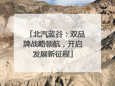 北汽蓝谷：双品牌战略领航，开启发展新征程