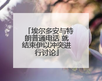 埃尔多安与特朗普通电话 就结束伊以冲突进行讨论