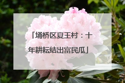 埇桥区夏王村：十年耕耘结出富民瓜