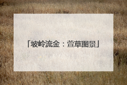坡岭流金：萱草图景