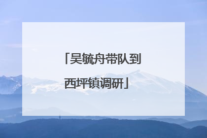 吴毓舟带队到西坪镇调研
