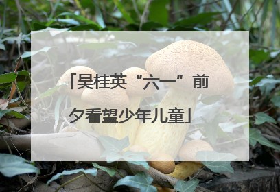 吴桂英“六一”前夕看望少年儿童