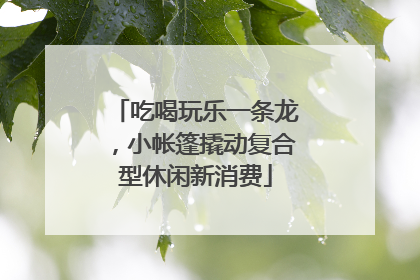 吃喝玩乐一条龙，小帐篷撬动复合型休闲新消费