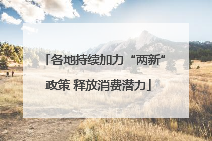 各地持续加力“两新”政策 释放消费潜力