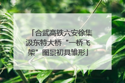 合武高铁六安徐集汲东特大桥“一桥飞架”图景初具雏形