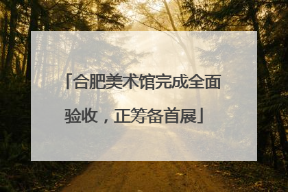 合肥美术馆完成全面验收，正筹备首展