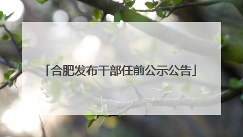 合肥发布干部任前公示公告