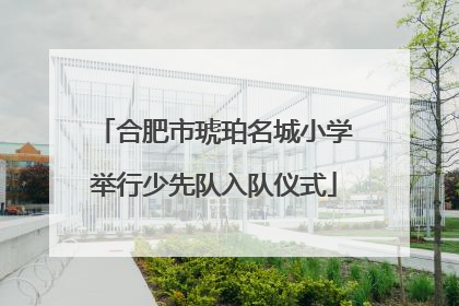 合肥市琥珀名城小学举行少先队入队仪式
