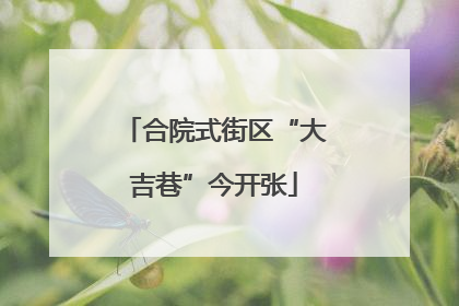 合院式街区“大吉巷”今开张