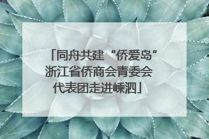 同舟共建“侨爱岛” 浙江省侨商会青委会代表团走进嵊泗
