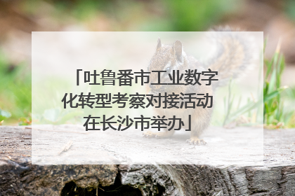 吐鲁番市工业数字化转型考察对接活动在长沙市举办