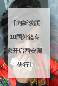 向新求质 10国外籍专家开启西安调研行