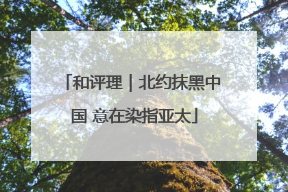 和评理｜北约抹黑中国 意在染指亚太
