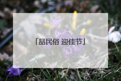 品民俗 迎佳节