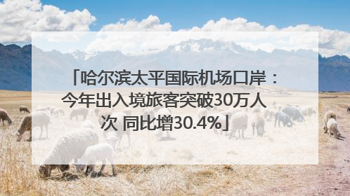 哈尔滨太平国际机场口岸：今年出入境旅客突破30万人次 同比增30.4%