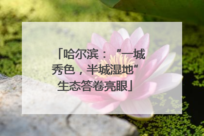 哈尔滨：“一城秀色，半城湿地”生态答卷亮眼
