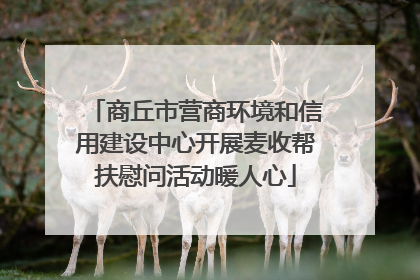 商丘市营商环境和信用建设中心开展麦收帮扶慰问活动暖人心