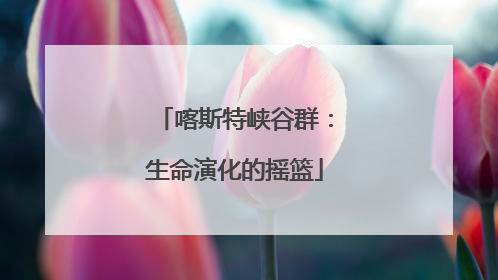 喀斯特峡谷群：生命演化的摇篮