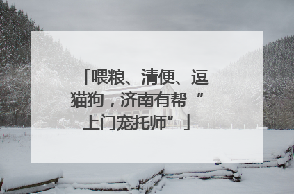 喂粮、清便、逗猫狗，济南有帮“上门宠托师”