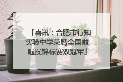 喜讯：合肥市行知实验中学荣膺全国啦啦操锦标赛双冠军
