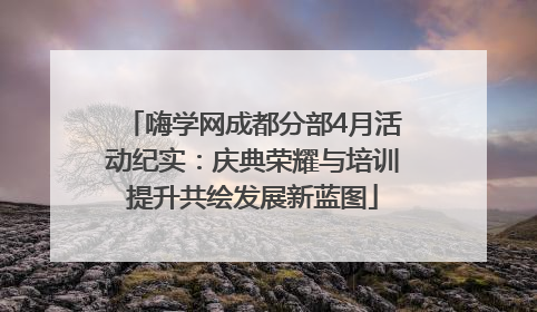 嗨学网成都分部4月活动纪实：庆典荣耀与培训提升共绘发展新蓝图