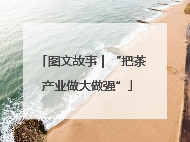 图文故事｜“把茶产业做大做强”