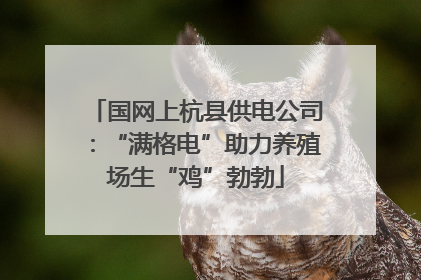 国网上杭县供电公司：“满格电”助力养殖场生“鸡”勃勃