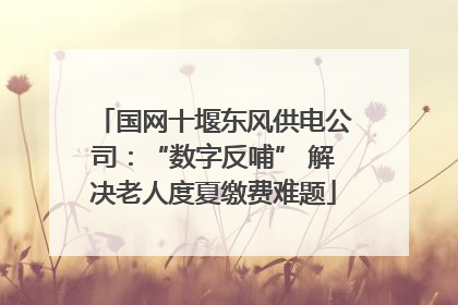 国网十堰东风供电公司：“数字反哺” 解决老人度夏缴费难题