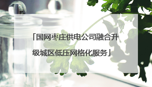 国网枣庄供电公司融合升级城区低压网格化服务