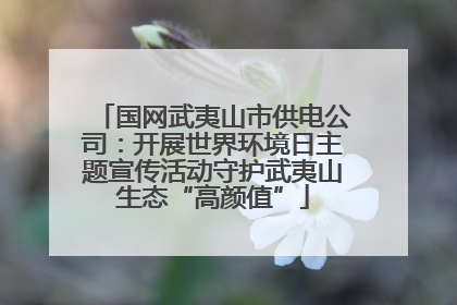 国网武夷山市供电公司：开展世界环境日主题宣传活动守护武夷山生态“高颜值”